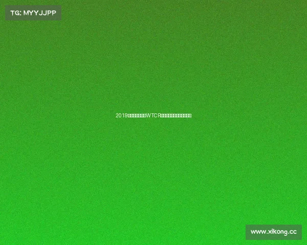 2019年世界房车杯赛WTCR激情角逐与荣耀瞬间全回顾